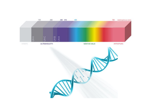 Led Future UVC-valon vaikutus DNA:han